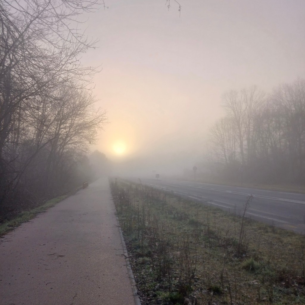 ¿Cuál es el % de Egoísmo&nbsp;Saludable?