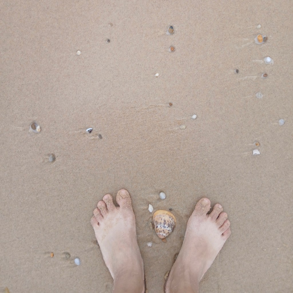 Pies descalzos junto a una concha sobre la arena, simbolizando el camino interior y la búsqueda de sentido.